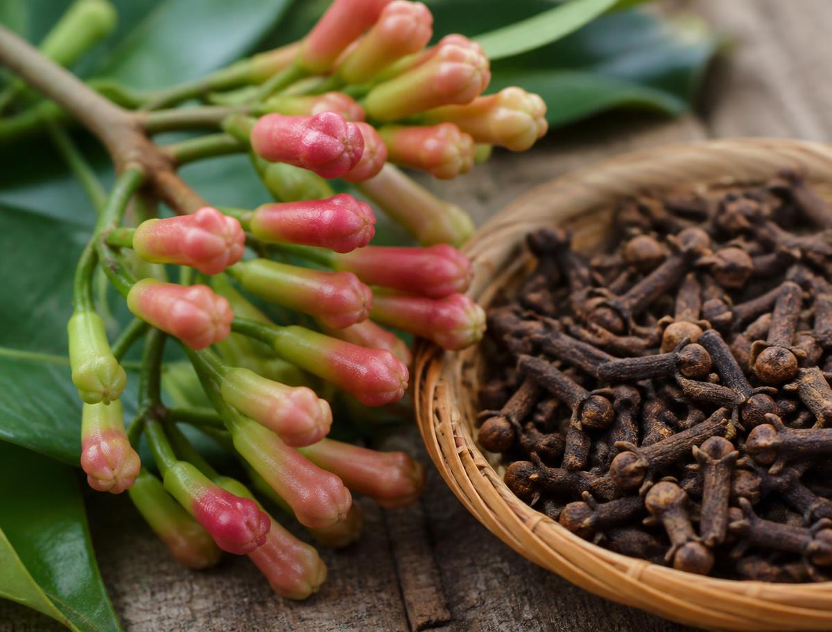 Fresh clove buds beside dried cloves in a basket